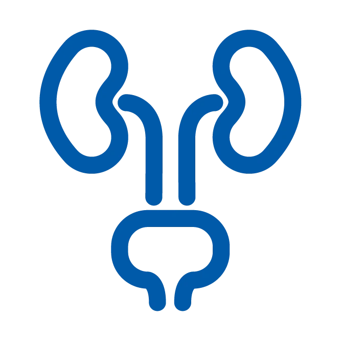 pecherz urologia-01.png